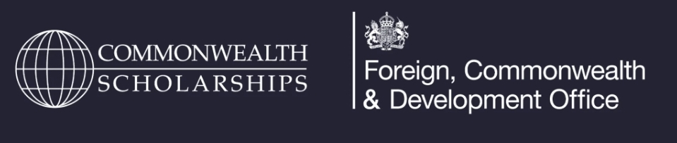 Commonwealth Startup Fellowship