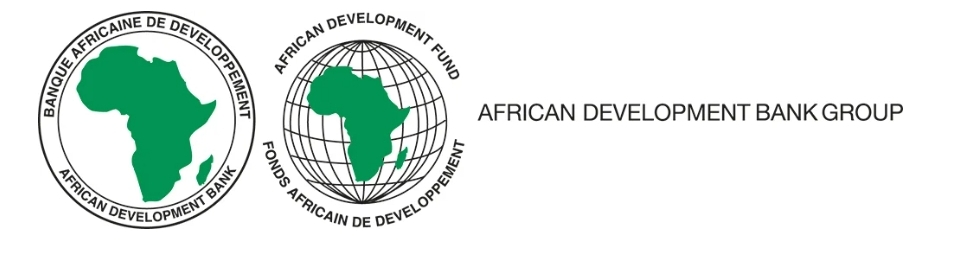 Chief Environmental Safeguards & Compliance Officer—Abuja, Nigeria