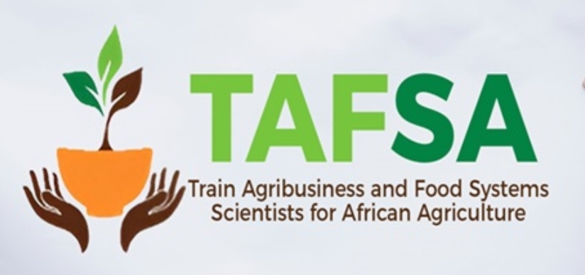 TAFSA Intra-Africa Credit-Seeking Mobility Scholarship 2025 (Cohort III)